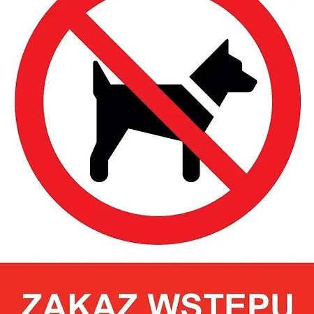W Chmurach- 15 Piętro Osiedle Tysiąclecia- Parking W Hali Garażowej, Wielki Taras Z Widokiem Na Zachód Słońca Apartamento *