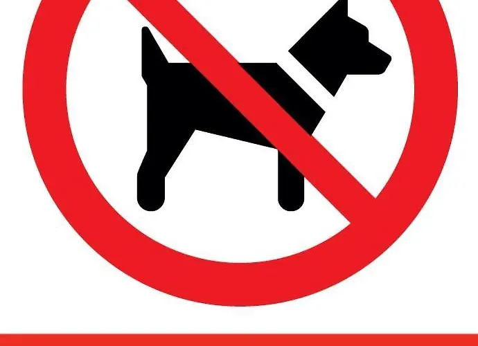 W Chmurach- 15 Pietro Osiedle Tysiaclecia- Prywatny Parking- Wielki Taras Z Widokiem Na Zachod Slonca Διαμέρισμα *